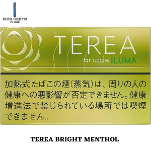 BEST TEREA BRIGHT MENTHOL IN UAE